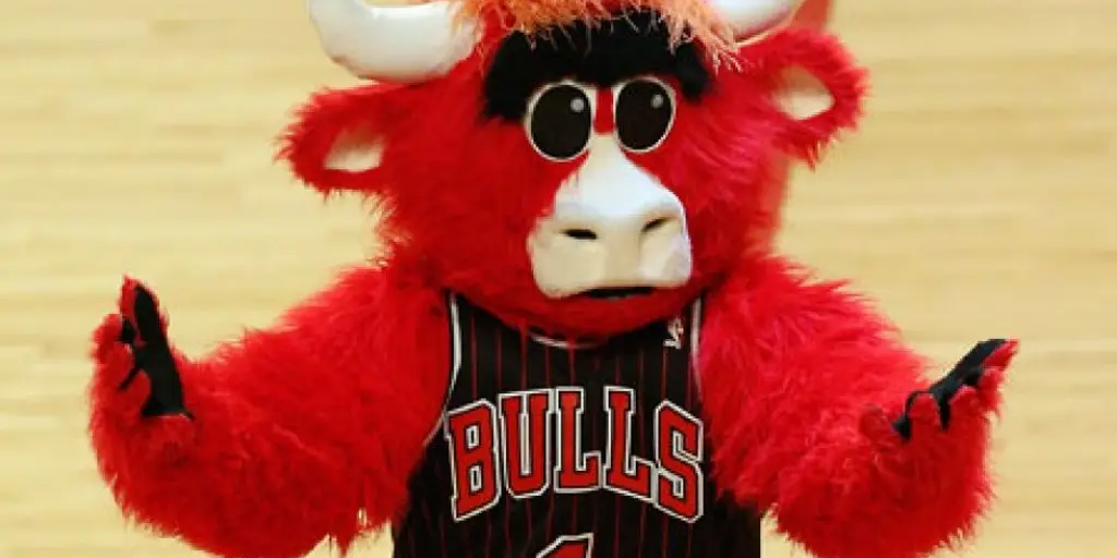 Rebuilding the United Center: Zachary Draves on the New-Look Bulls, G-League Laboratories, and the Inevitability of Sports Politics